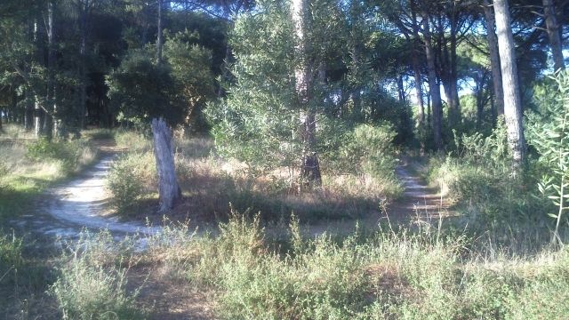 photo Cache202201_zpsr3gvadhz.jpg