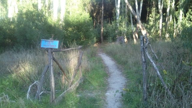 photo Cache204201_zpssj1zbpxn.jpg