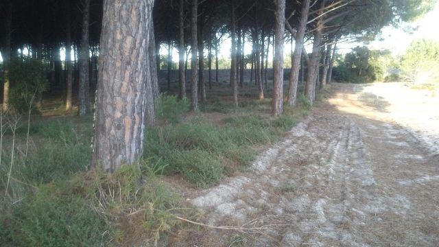 photo Cache206202_zpslq5fybqj.jpg