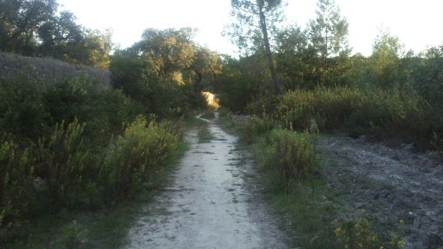 photo Cache208_zpsrgzypj7r.jpg