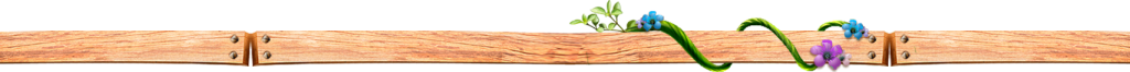  photo separador_zps7480b1f0.png