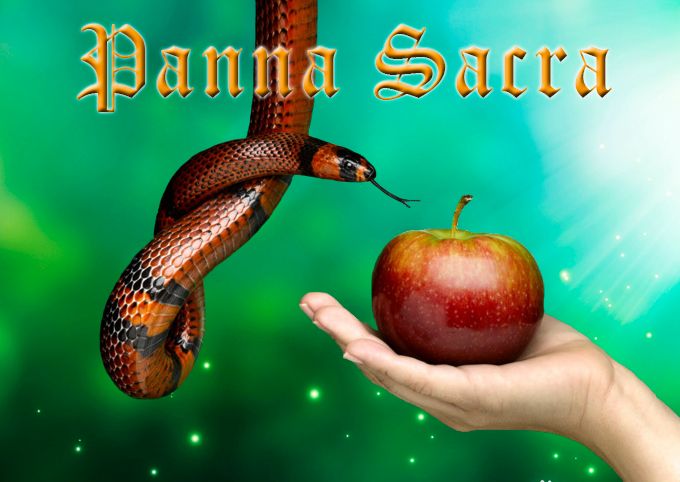 Panna1_zps7ugci95z.jpg