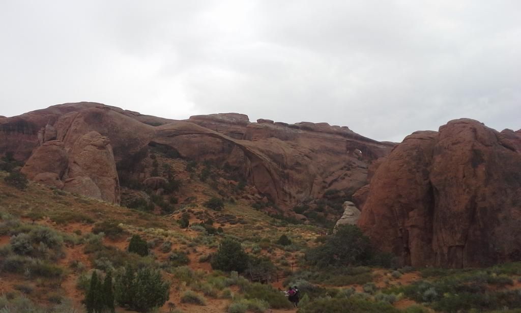 20140813_101132_zps18214de9.jpg