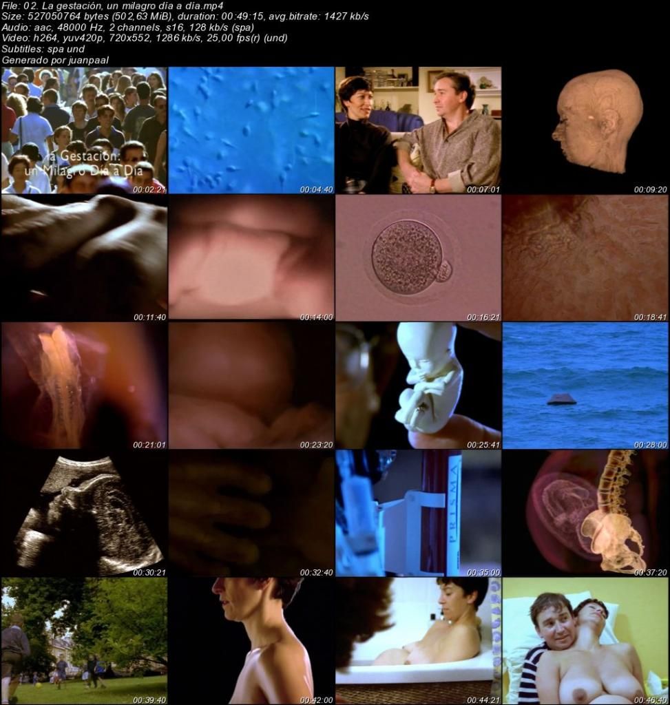 02Lagestacioacutenunmilagrodiacuteaadiacutea zpsac39ef7e - Colección El Ser Humano [BBC] (2003) [DVDRip MP4 ACC 2.0 Cast.] [Subt.ES] [VH]