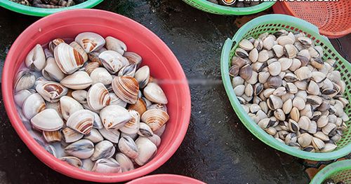 Cung Cấp Các Loại Hải Sản Sỉ & Lẻ Giá Cực Tốt - 36