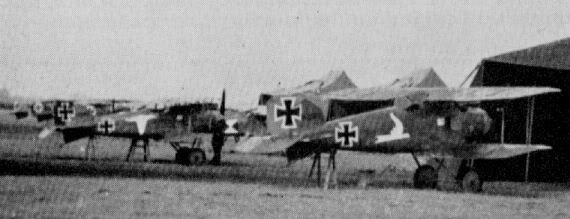 AlbatrosDIIJasta14a44-1_zps7cebe838.jpg