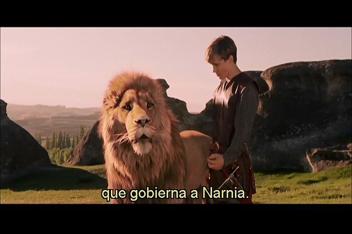 Imagen 9