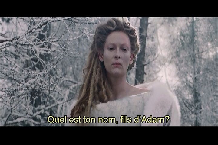 Imagen 7