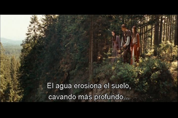 Imagen 8