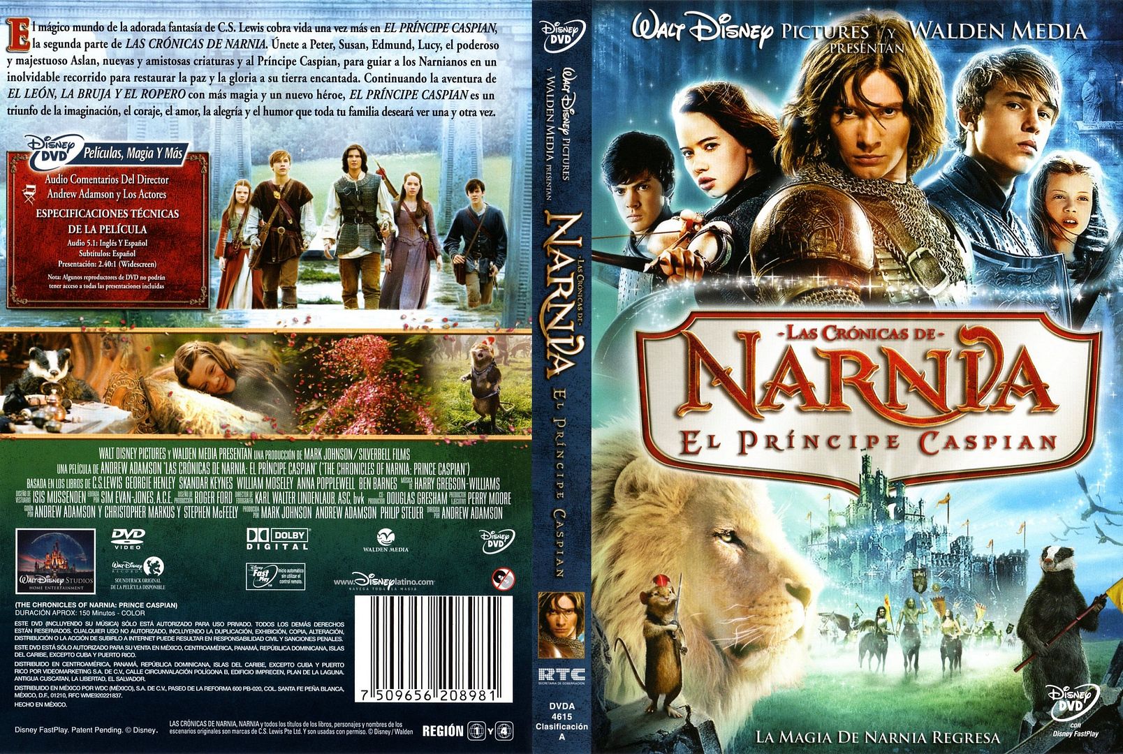 Imagen 11