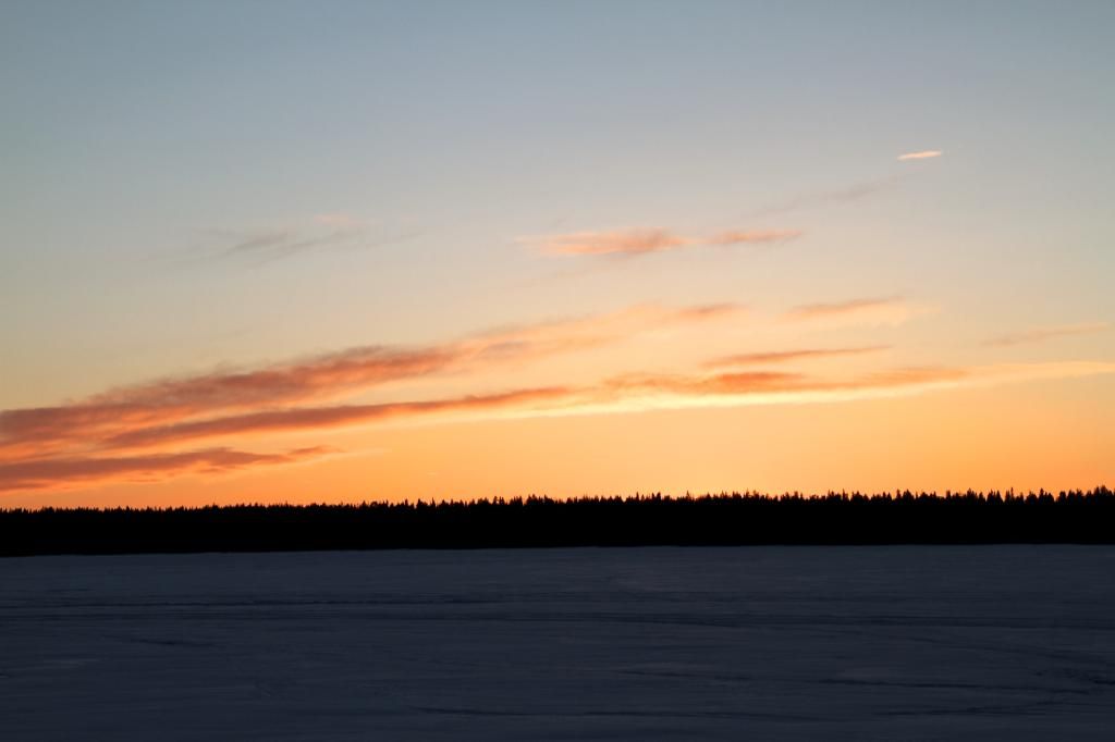  photo IMG_7090_zpskqnsxe48.jpg
