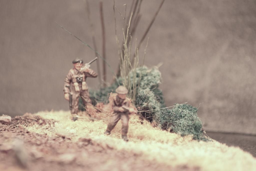 5b01ef88-c65b-4505-bd98-90416c26f5d6_zps