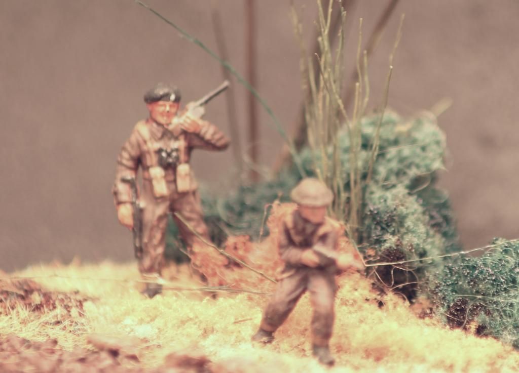 c287ac4a-7daf-4f55-9f5b-f40302b25ccd_zps