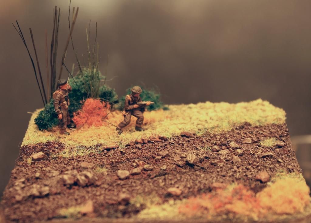 e6c7a790-2899-48bd-9c6d-9553b4cca2a0_zps