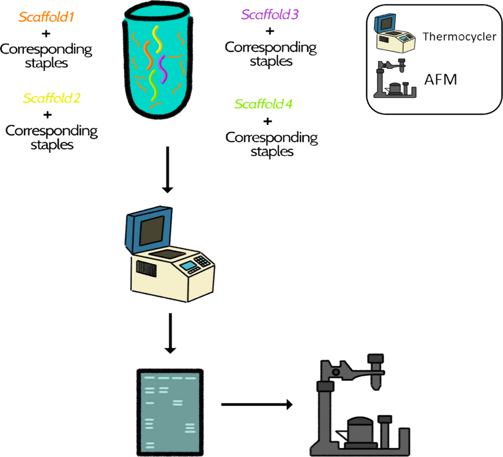 diagrama2 photo Diagrama2_zpsltcvtjir.png