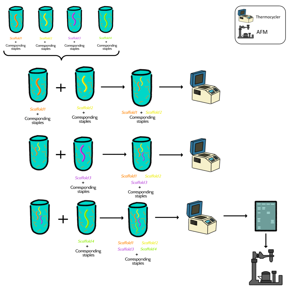 diagrama3 photo diagrama3_zps4ivtyziz.png