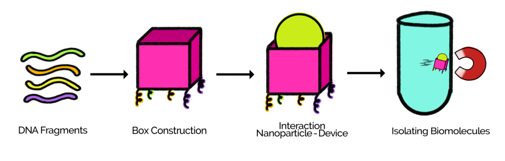  photo diagramaproject_zpsgenrxvj7.png