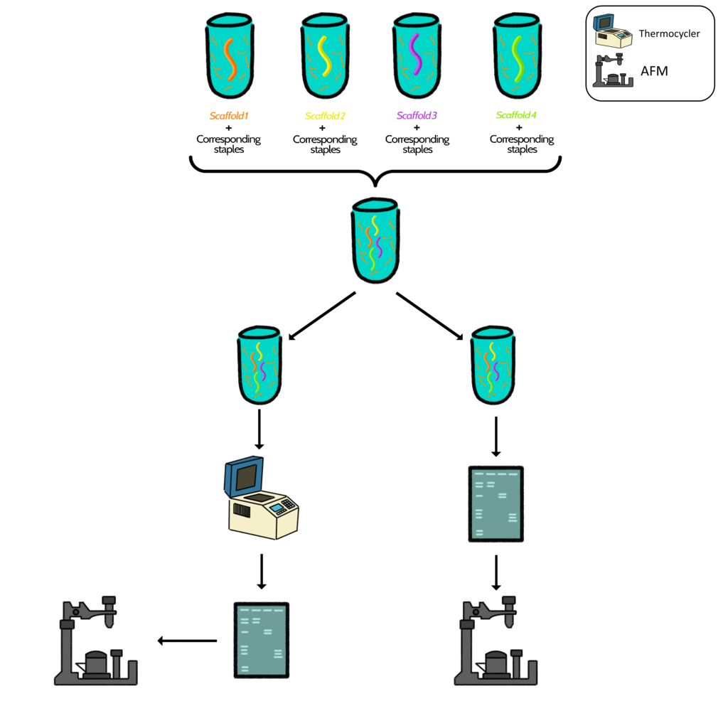 diagrama1 photo diagramas1_zpsqkx1hvxz.png