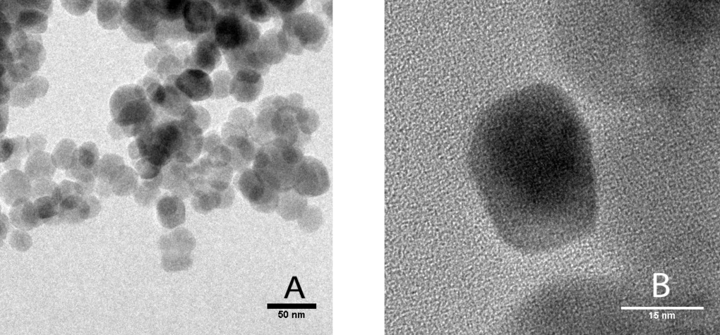 photo nanoparticulasresults1_zps854uqdmv.png