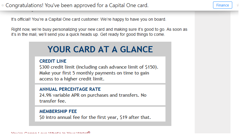 Capital one platinum visa cash advance photo 2