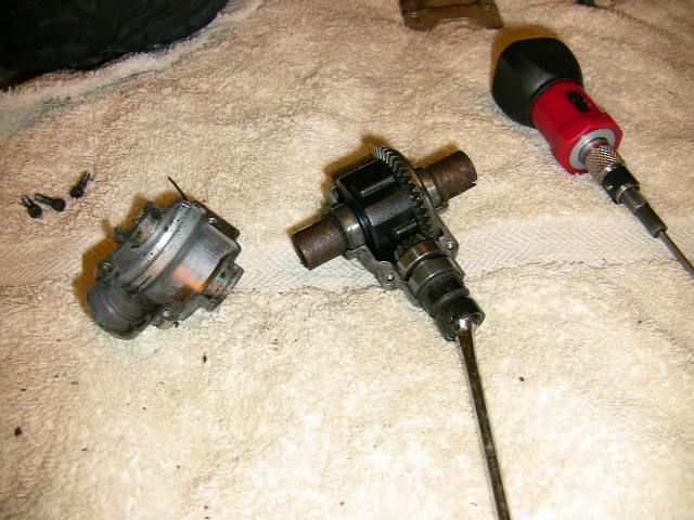 losi torment