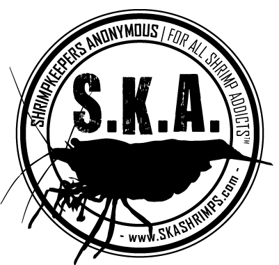 SKA-Logo_BadgeURL_zpse38c4580.png