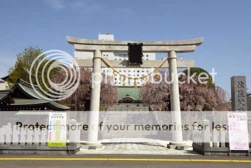 离开福井城迹, 我们前往足羽川的樱花堤, 途中经过福井神社.