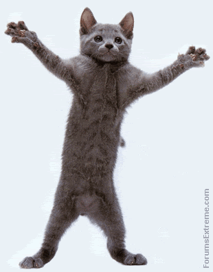 Https Encrypted Tbn0 Gstatic Com Images Q Tbn And9gcqs6ftc5qvtgcz7ndzbwlkjdpf05btosg 2wq Usqp Cau