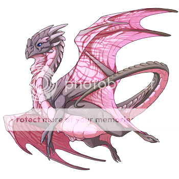 dragonnocturnemale_zpsf0baee2a.png