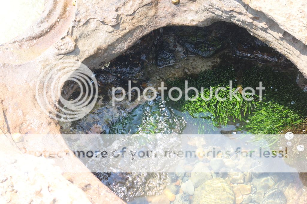 25. Mini-Break Blogpost- Caves Beach Rockpool